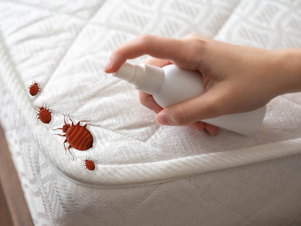 Best Pest Inspection Near Me  in Muskegon Heights, MI