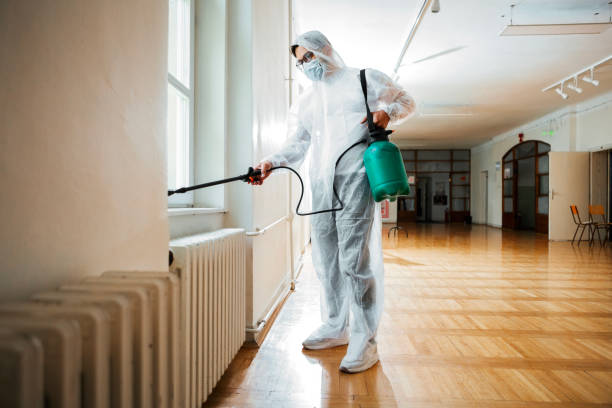 Best Termite Control Services  in Muskegon Heights, MI